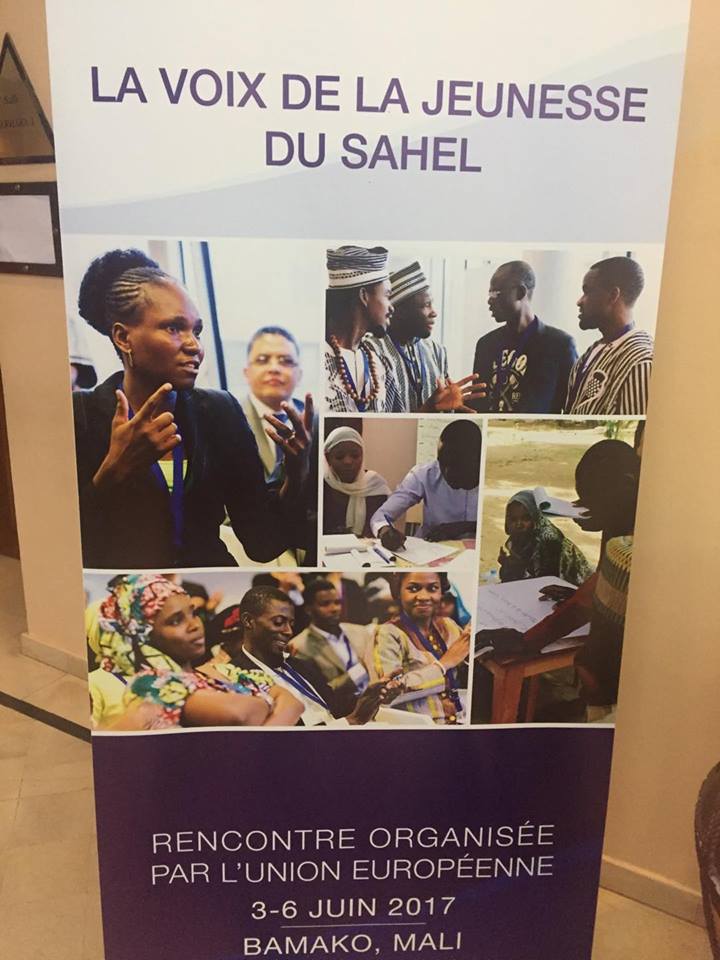 Article : Rencontres de Bamako du 03 au 06 Juin 2017: les jeunes font entendre leur voix pour le développement du Sahel